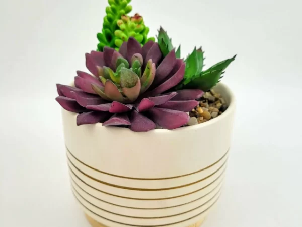 Suculentas artificiais: como usar essas plantas artificiais na decoração da sua casa