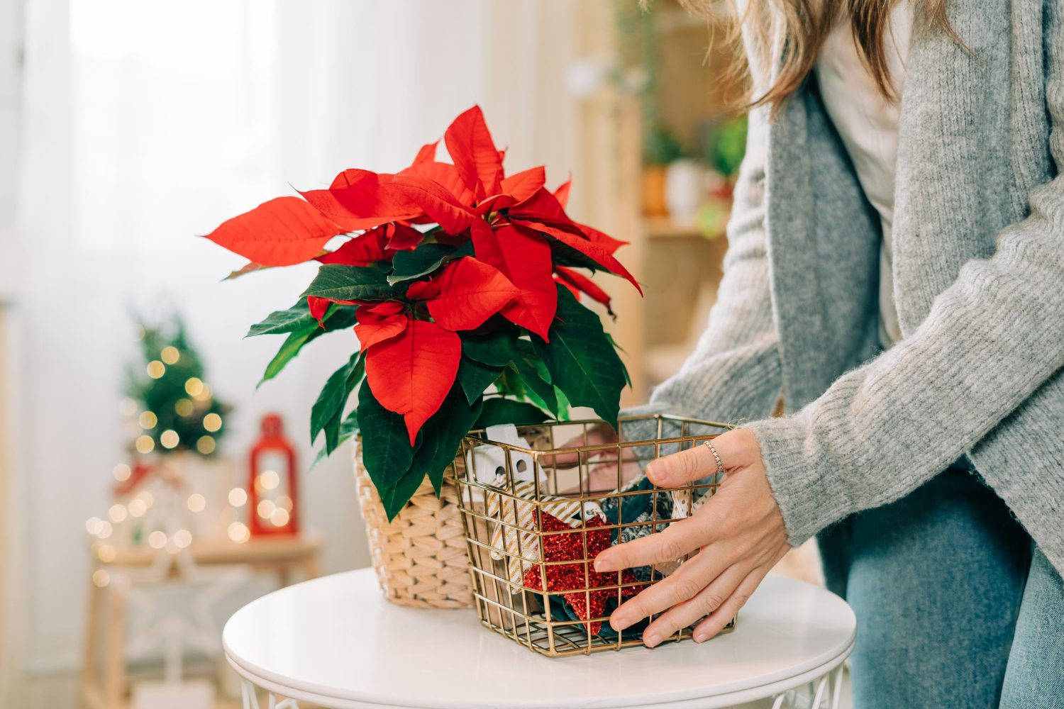 Poinsettia na decoração de mesa: como criar uma mesa posta temática com essa flor