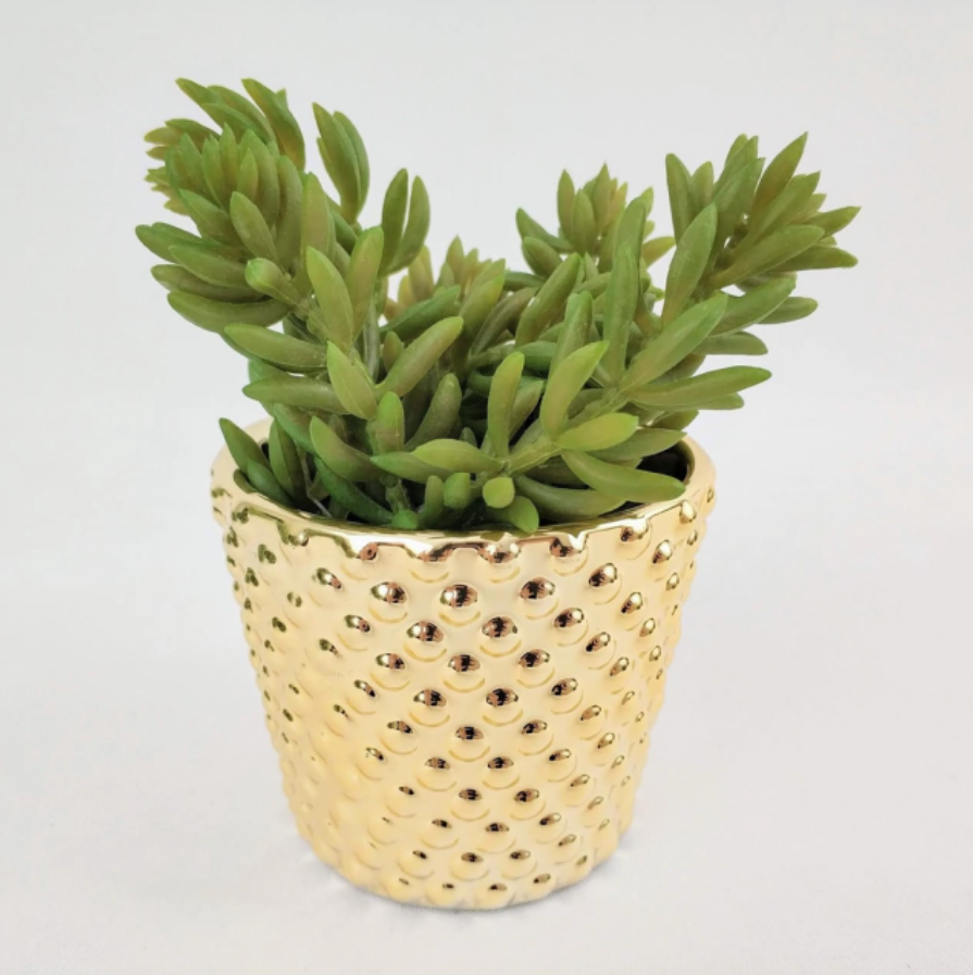 Cachepot: ideias para decorar sua varanda ou jardim usando esse tipo de vaso